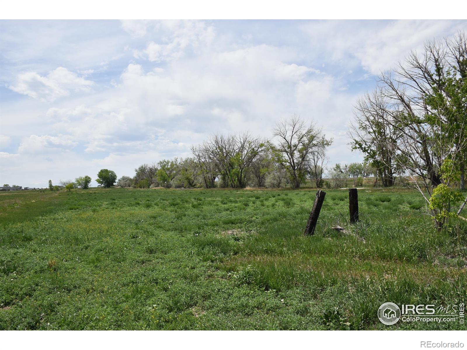 3113 County Road 17