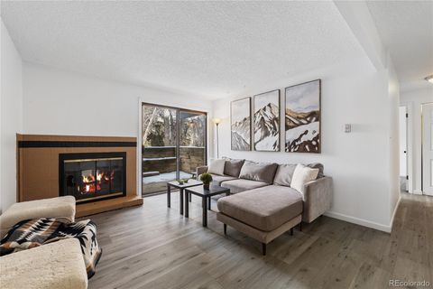 1061 W Beaver Creek Boulevard G104 Avon CO 81620