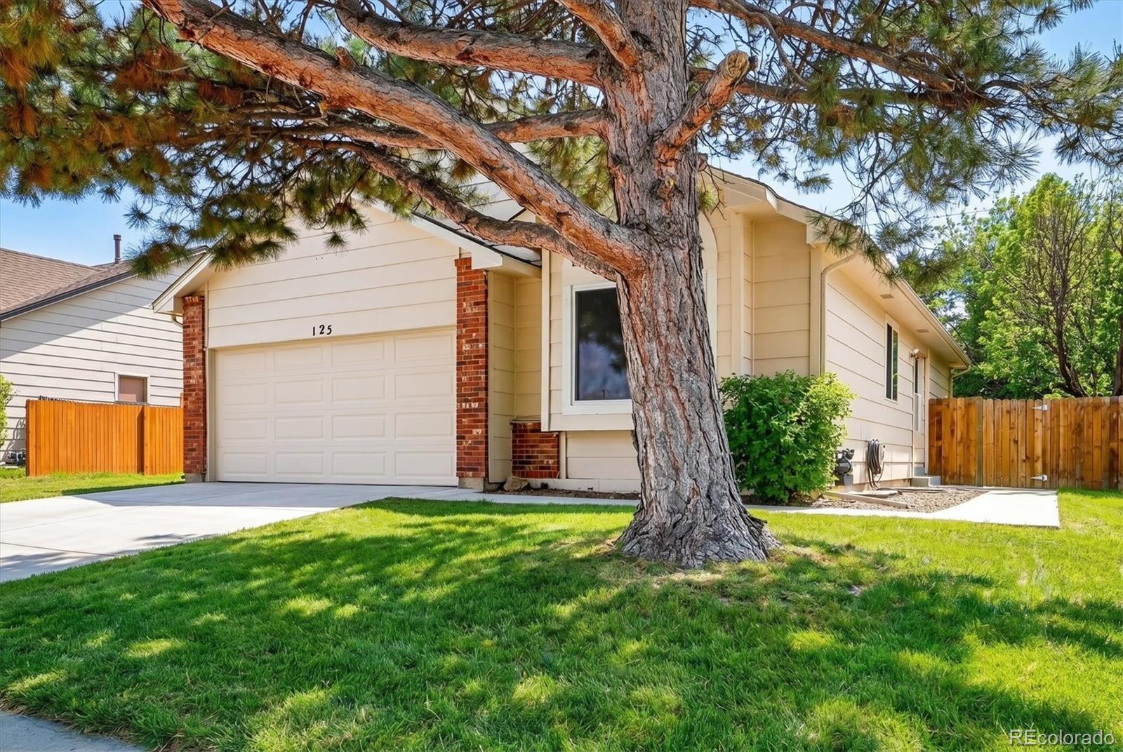 125 N Holcomb Street