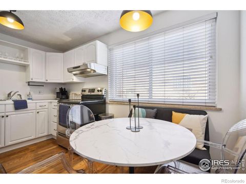 1063 N Clarkson Street 12 Denver CO 80218