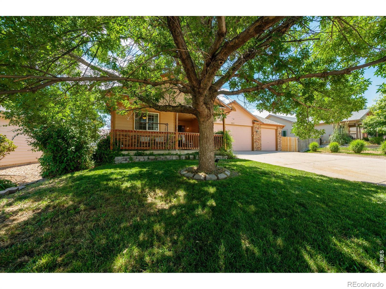 905 Scotch Pine Drive
