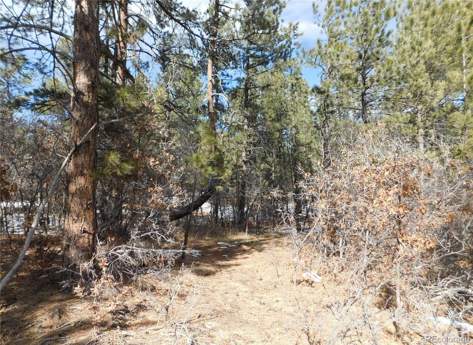 1025 Tenderfoot Drive