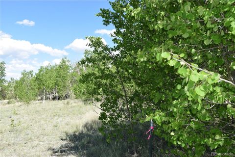 Unimproved Land in Hartsel CO 1053 Mcmurry Road 1.jpg