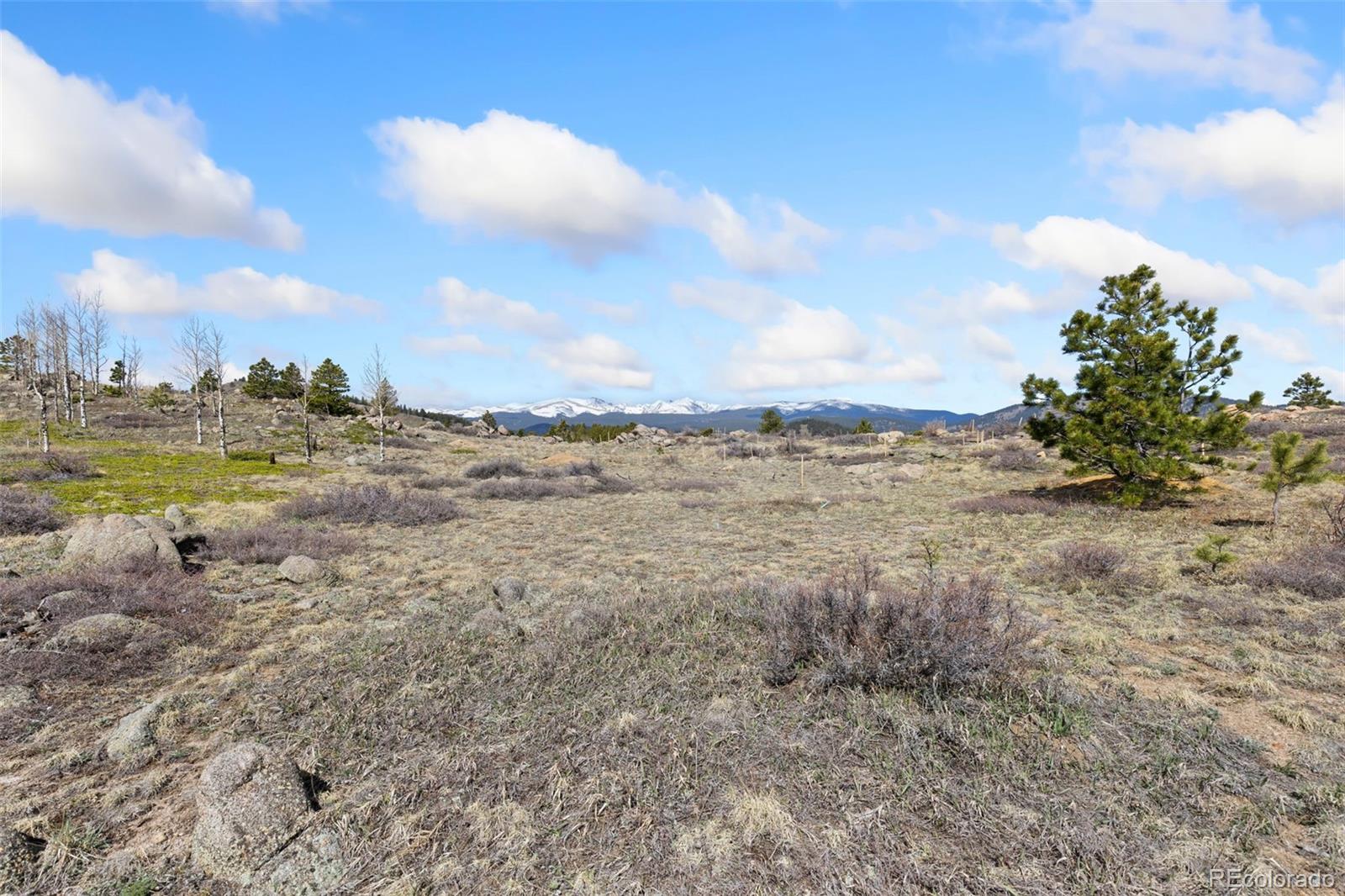 5260 Ridge Road