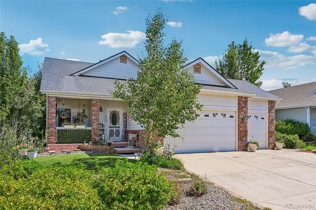 Photo of 445 Mango Drive, Castle Rock, CO 80104 (MLS # 5589506)
