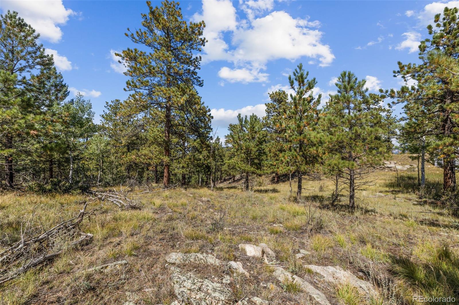 000 Mockingbird Trail