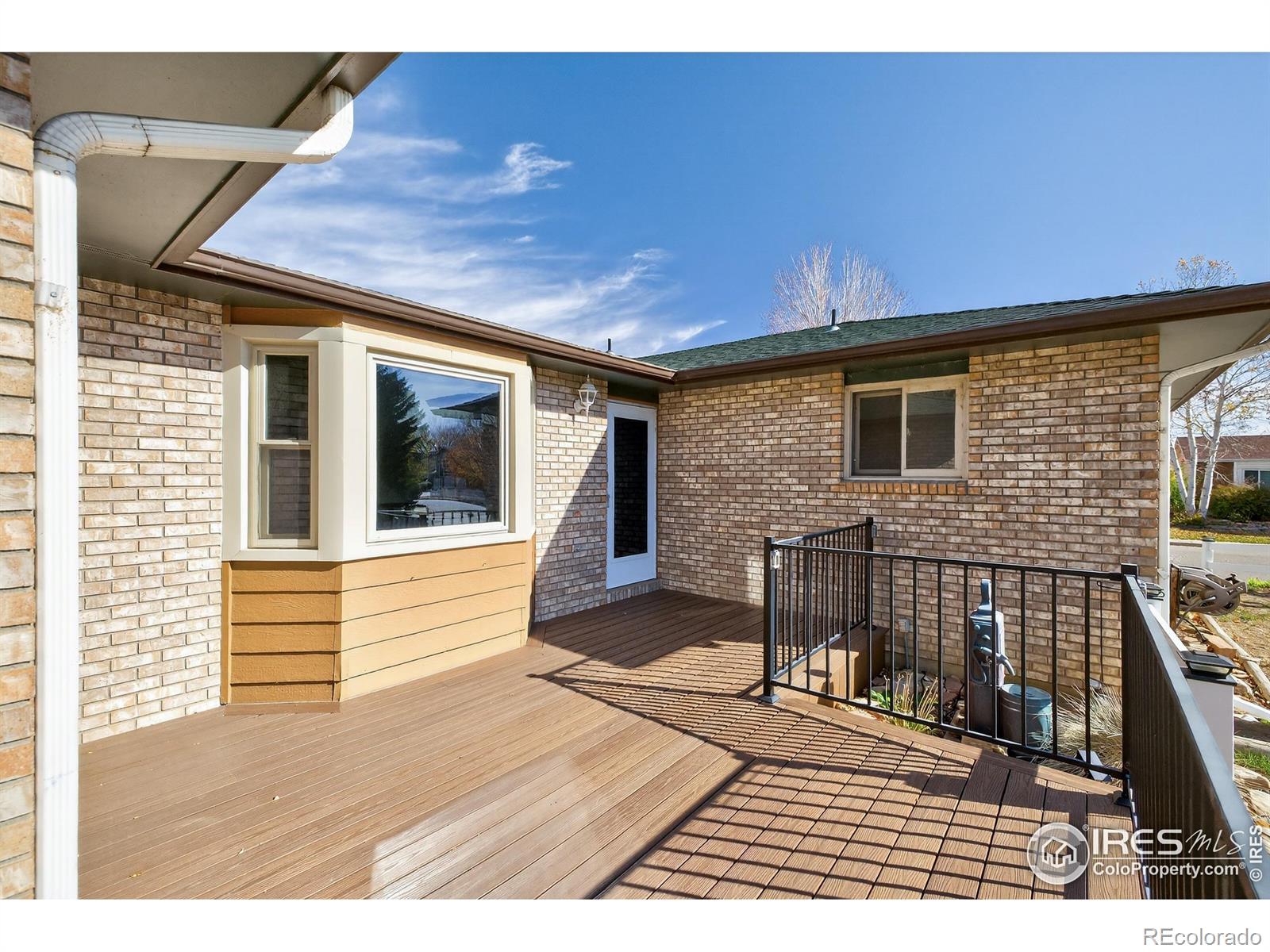 1009 Blue Spruce Place