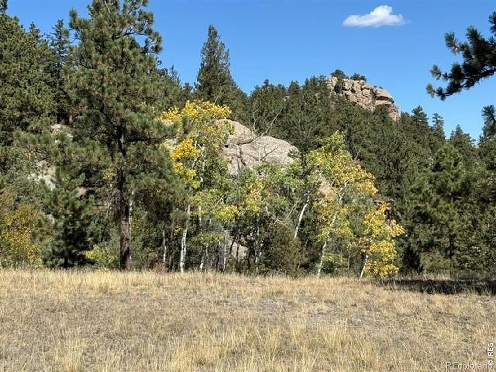 0 TBD Bald Mountain Drive