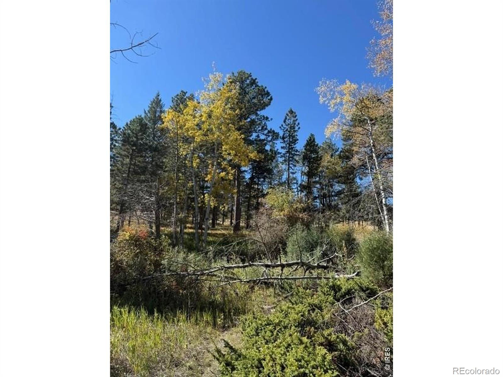 0 TBD Bald Mountain Drive