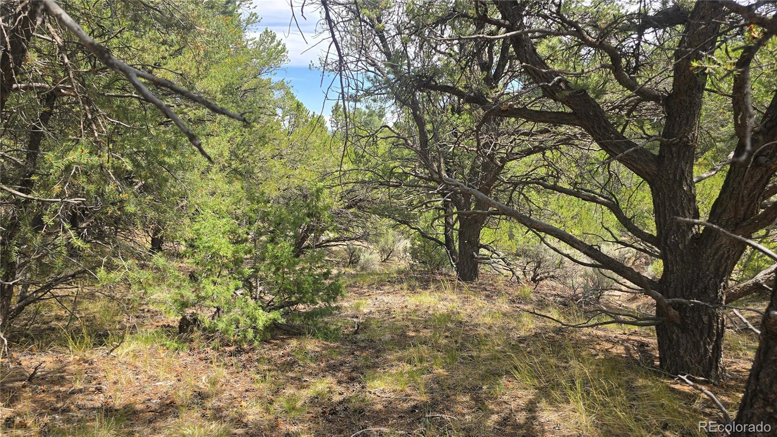 Lot 7892 Tiernan Road