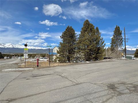 880 W 6th Street Leadville CO 80461