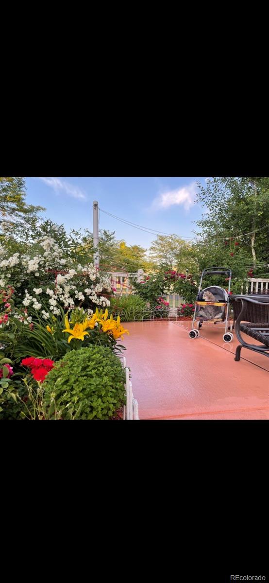 25 Lindenwood Circle