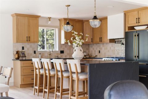 33691 Nova Road Pine CO 80470