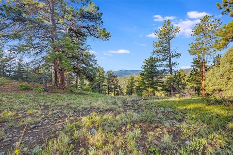 Unimproved Land in Evergreen CO 29411 Antilles Way 14.jpg