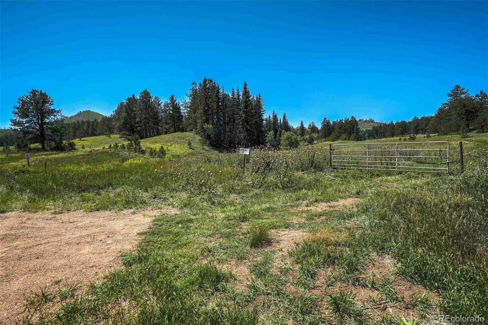 11068 Trail Creek Road