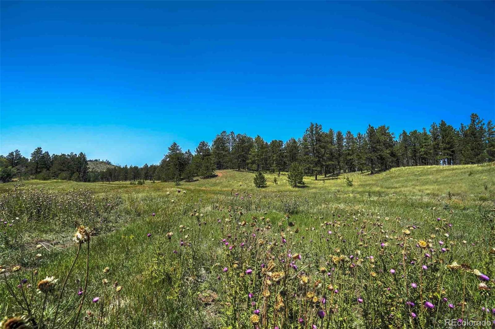 11068 Trail Creek Road