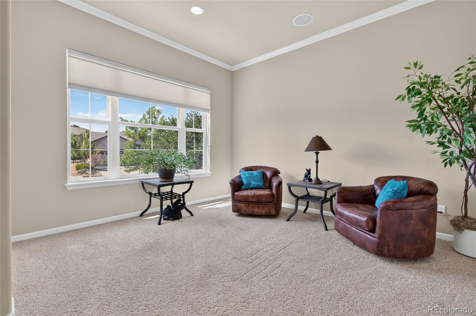4575 Silver Mountain Loop