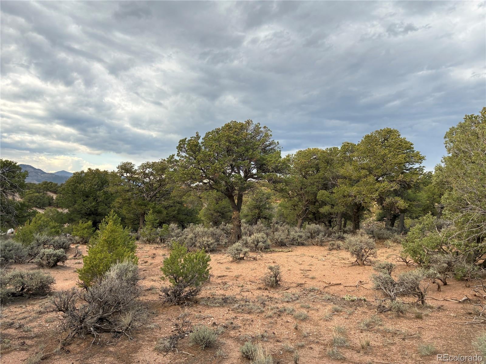 LOT 7275 Red Jones Road