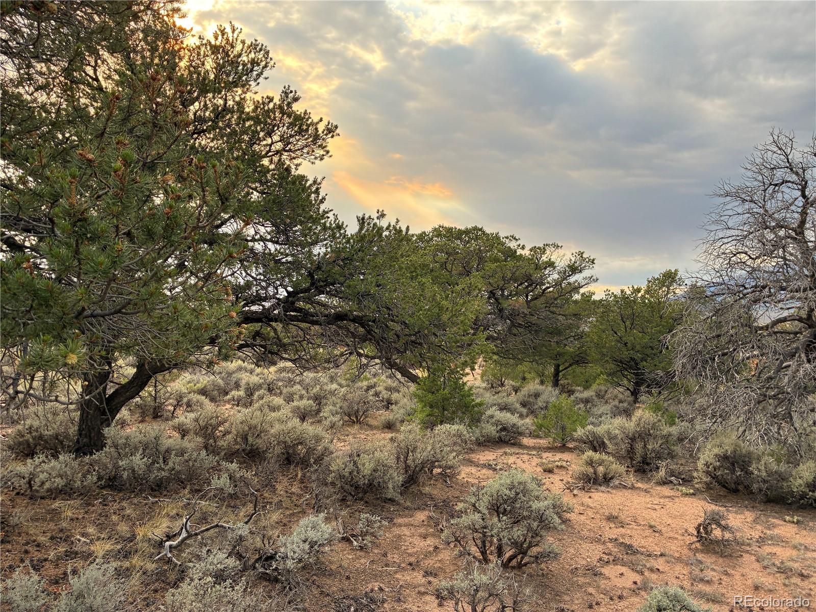 LOT 7275 Red Jones Road