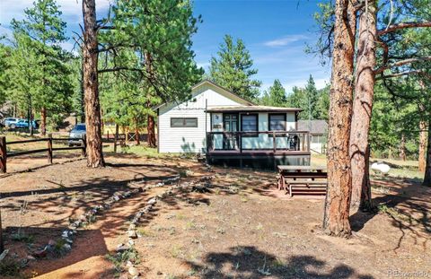 28488 Park Avenue Pine CO 80470