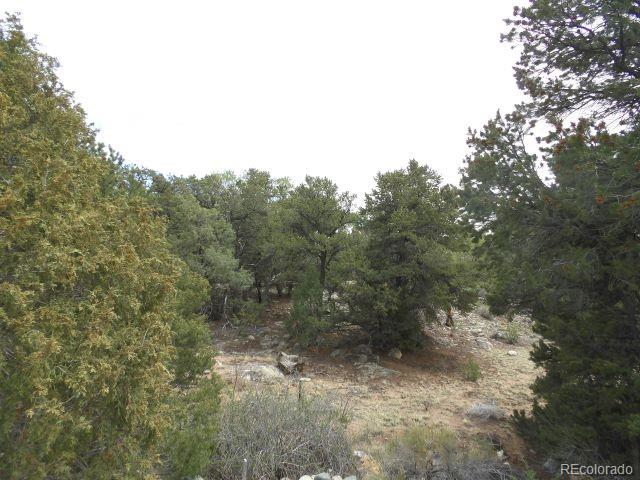 918 Pine Cone Way