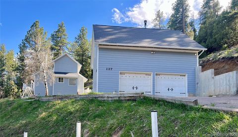 137 Bob Cat Trail Bailey CO 80421
