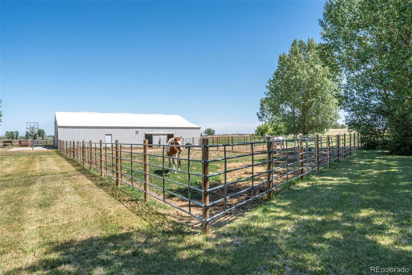 5946 County Road 3