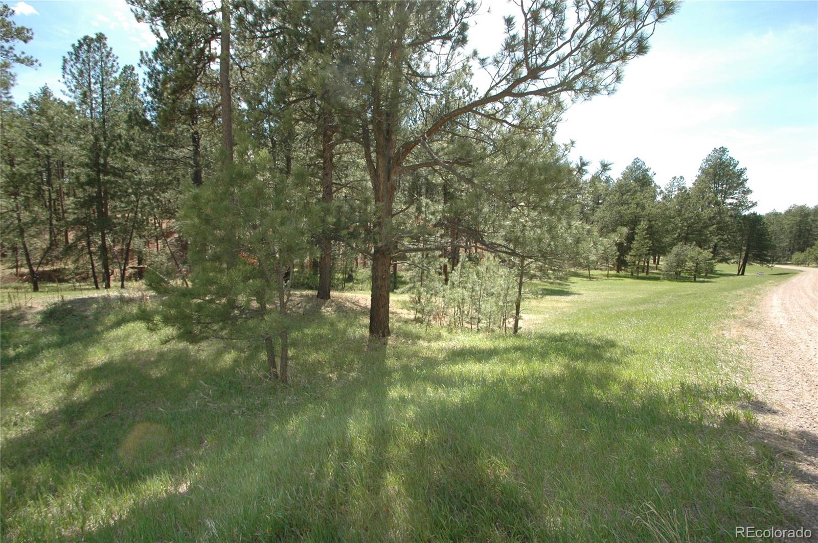 856 Woodridge Road