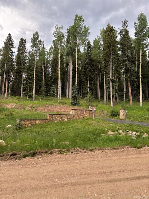 28651 Belle Point Drive Conifer CO 80433