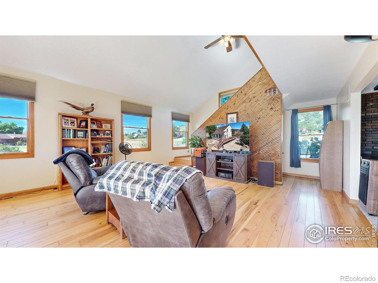 712 Colt Drive