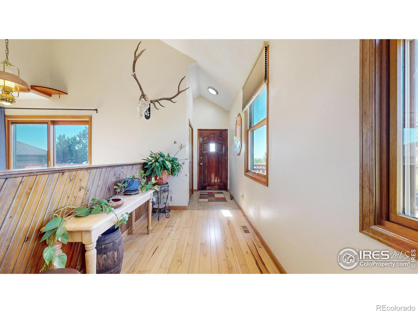 712 Colt Drive