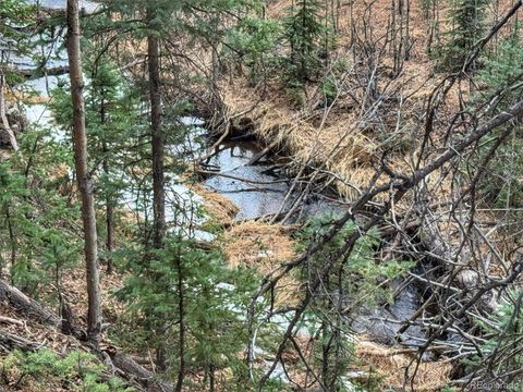 132 Aspen Acres Rye CO 81252