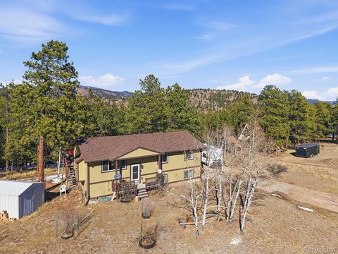 399 Conifer Drive Bailey CO 80421