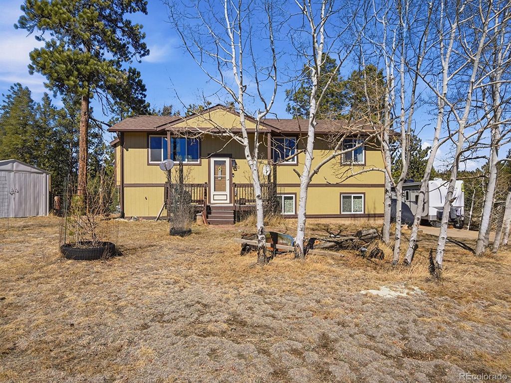 Photo of 399 Conifer Drive, Bailey, CO 80421 (MLS # 9563251)