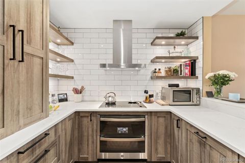 975 N Lincoln Street #5A Denver CO 80203