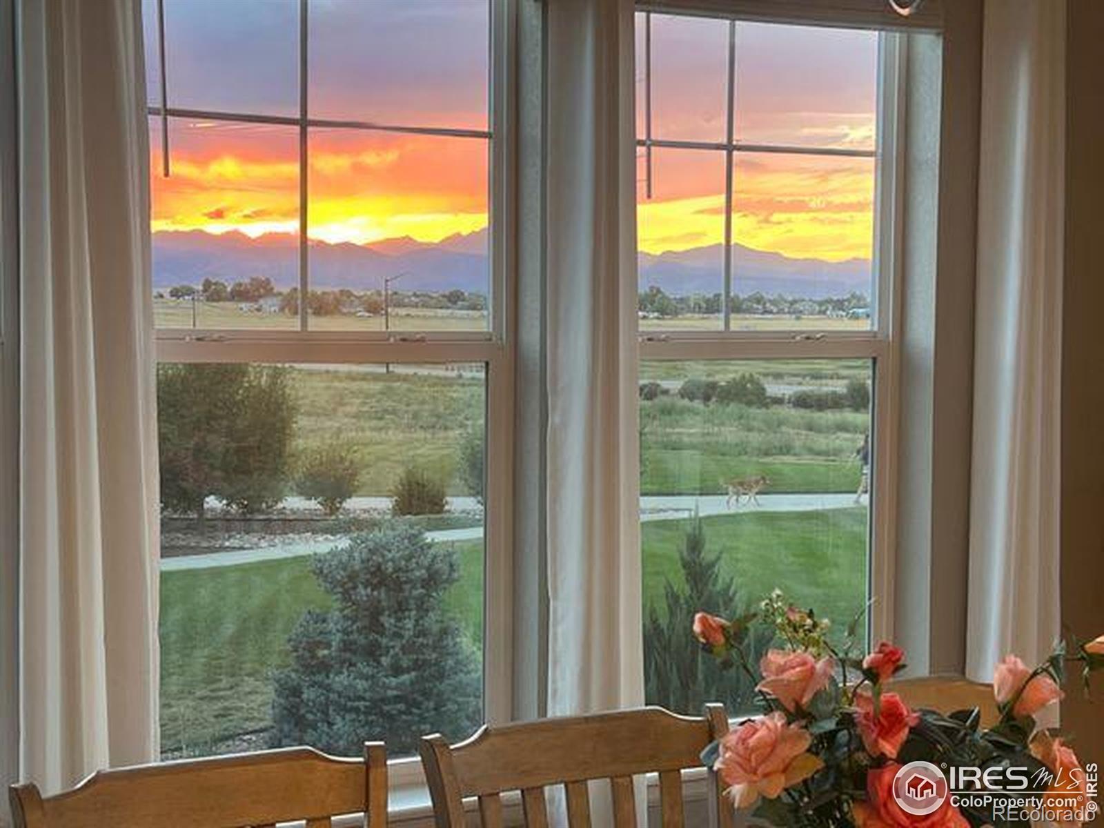 938 Flora View Drive