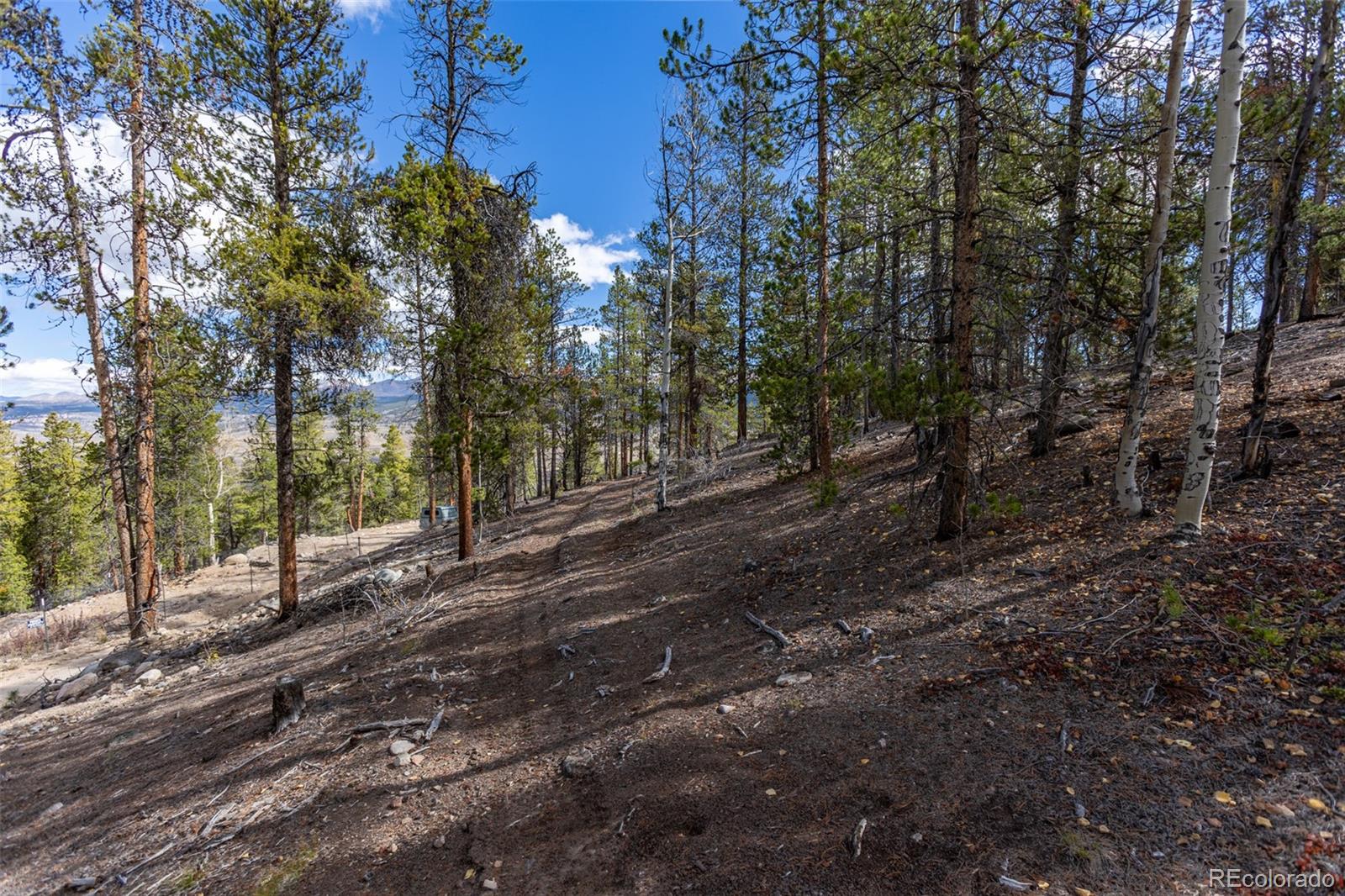 86 Mt Elbert Road