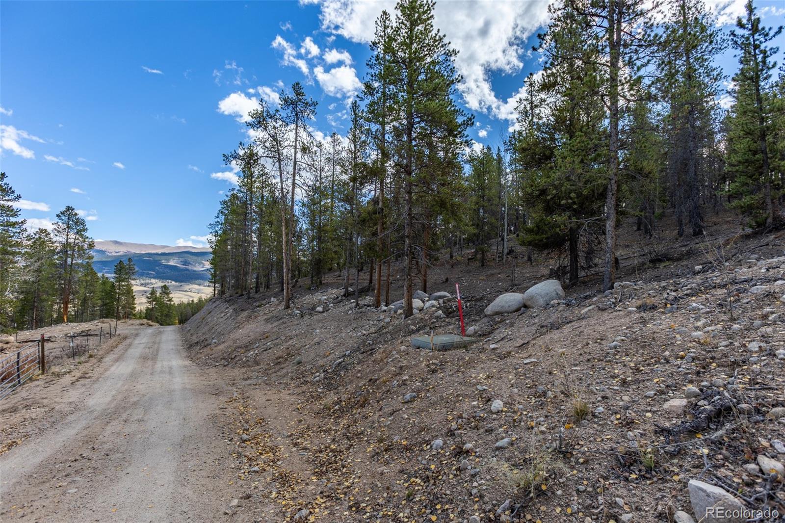 86 Mt Elbert Road