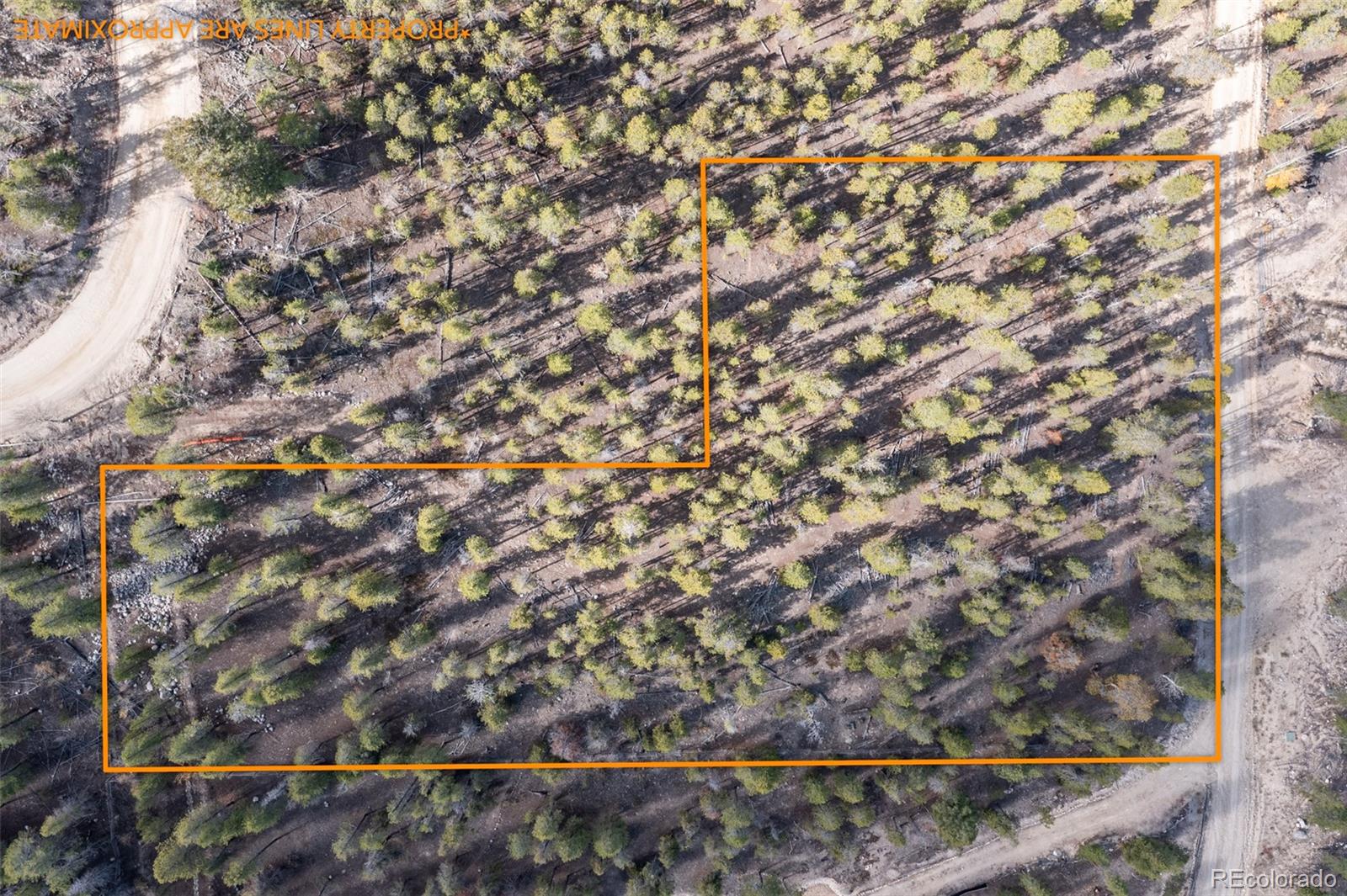 86 Mt Elbert Road