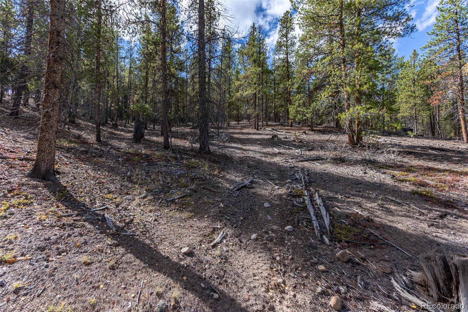 86 Mt Elbert Road