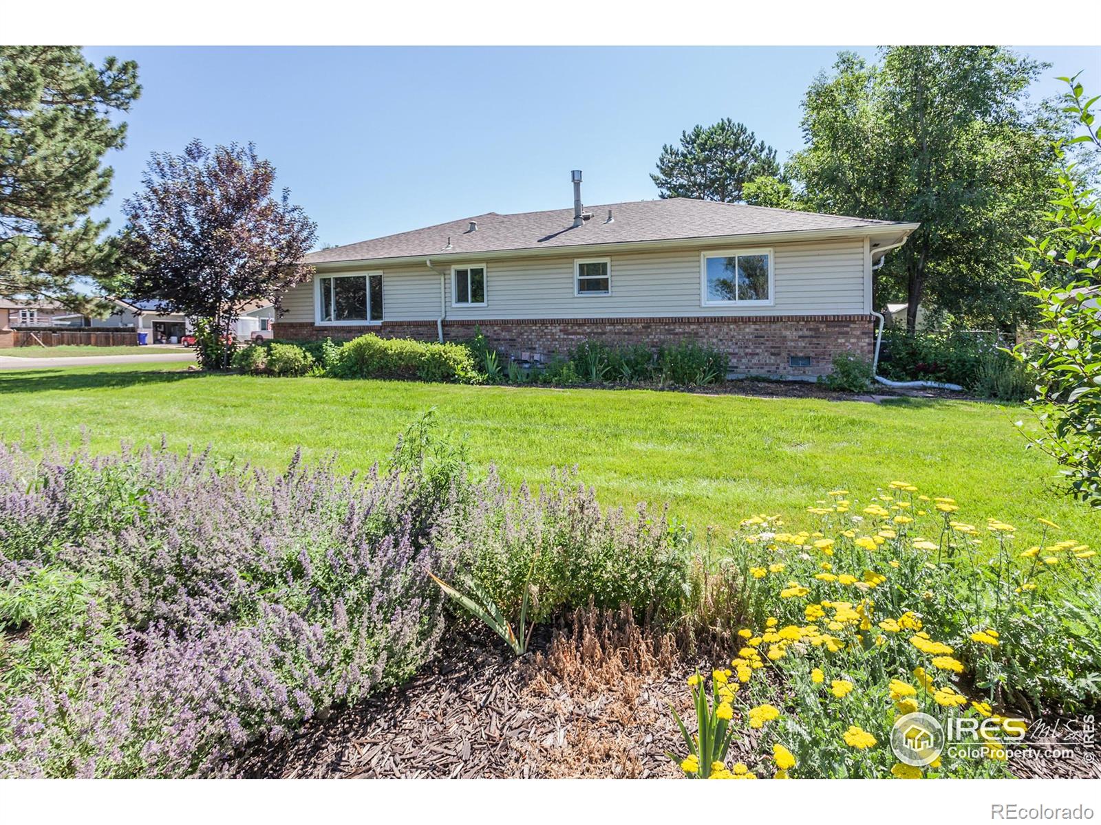 205 Maple Court