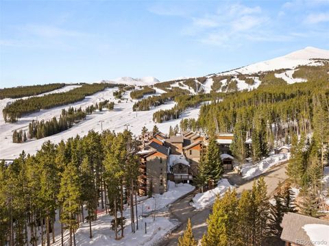 107 Skiwatch Drive 329 Breckenridge CO 80424