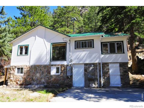 290 River Fork Road Drake CO 80515