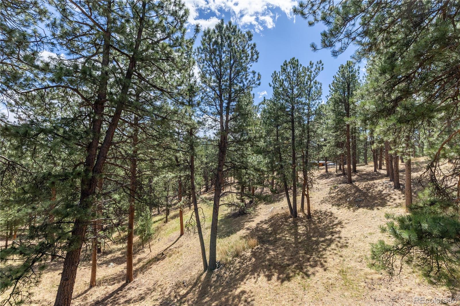 302 Cottonwood Drive