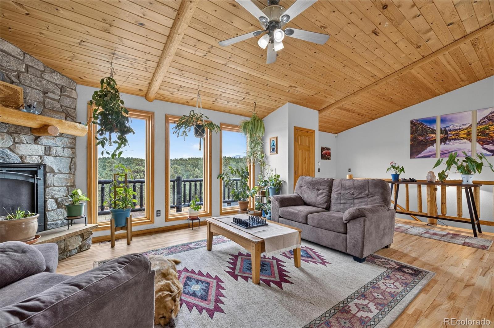 196 Conifer Drive