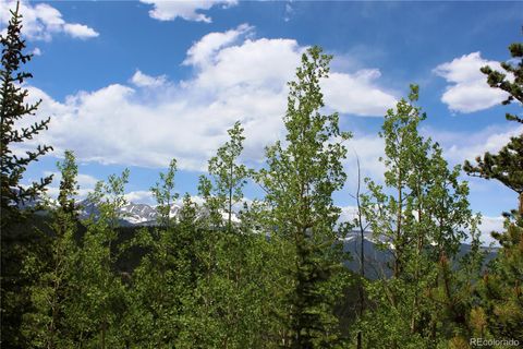 Group 1 Lamartine Road Idaho Springs CO 80452