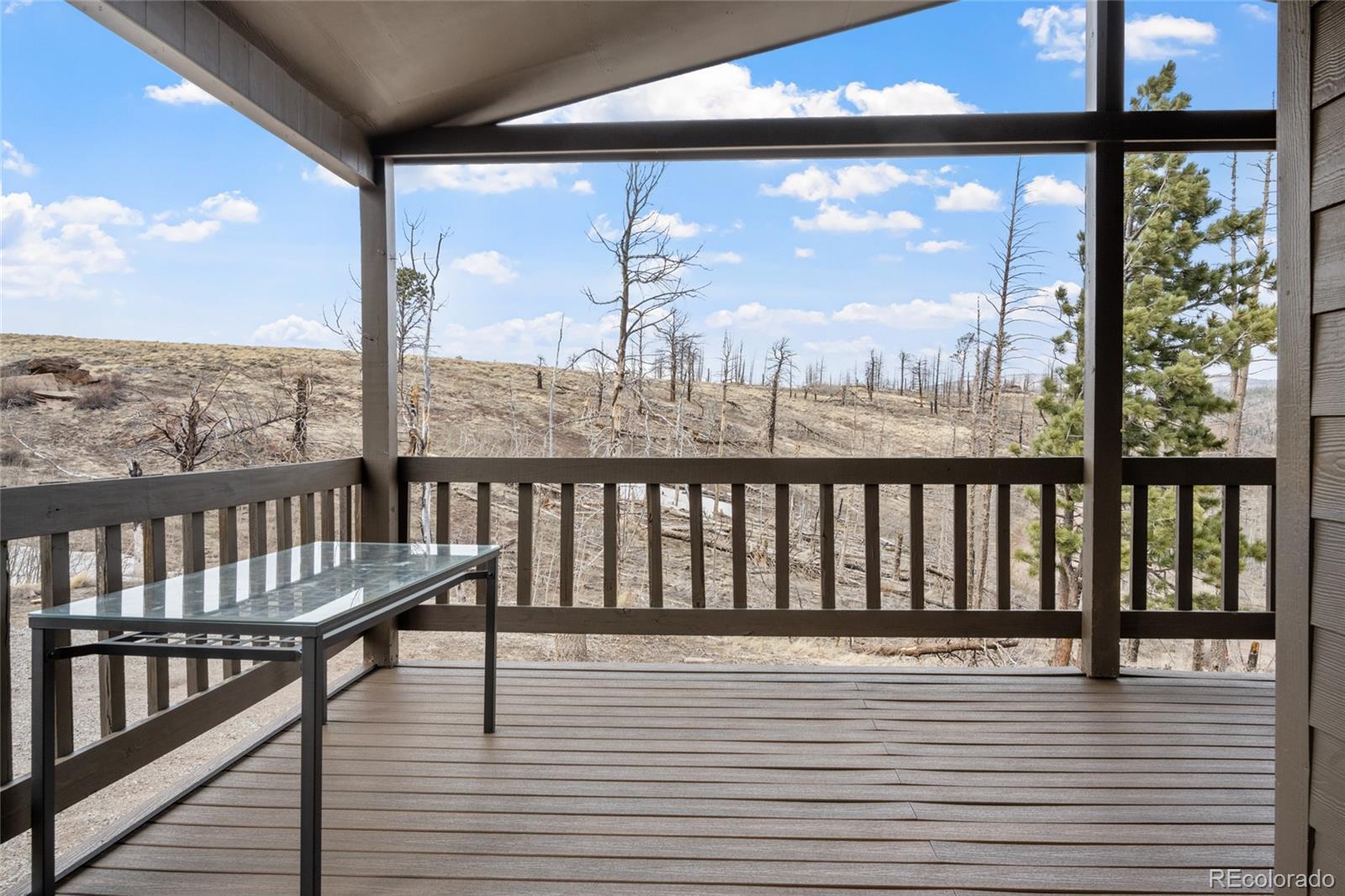 645 Emery Loop, Fort Garland, CO, 81133 2 645 Emery Loop
