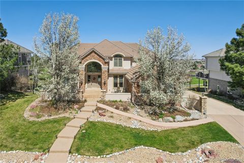 8501 Colonial Drive, Lone Tree, CO 80124 - #: 9496729