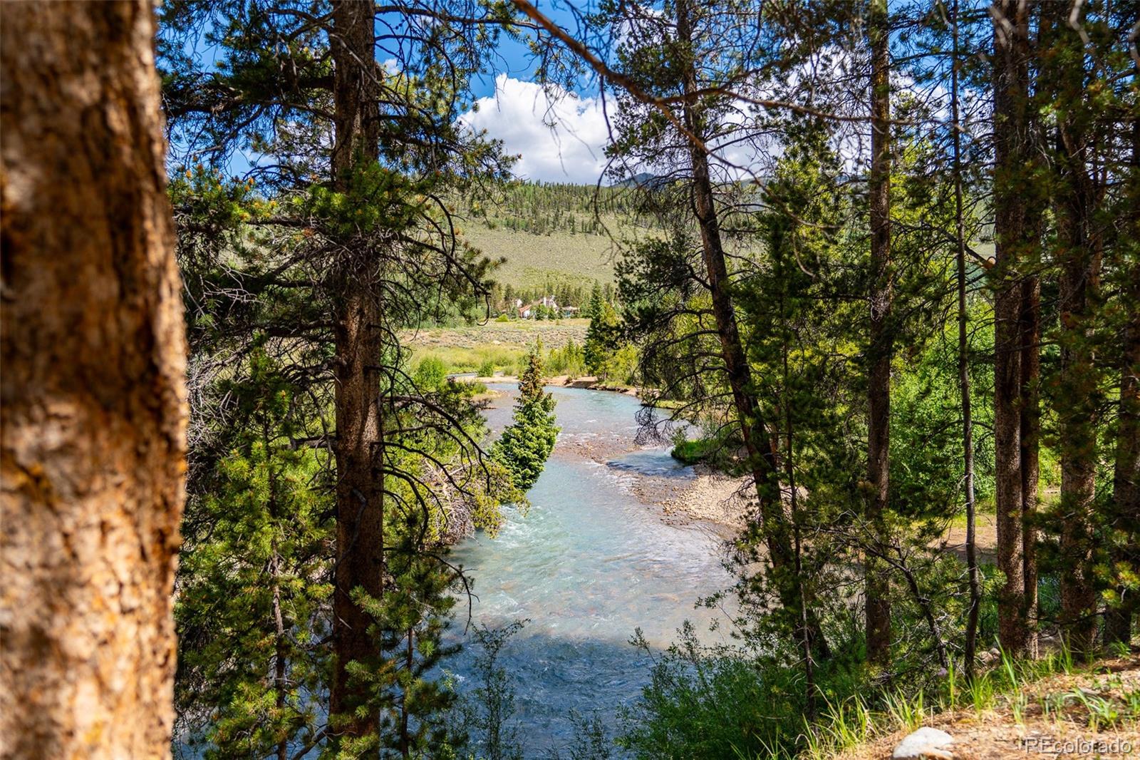 197 Wild Irishman Road