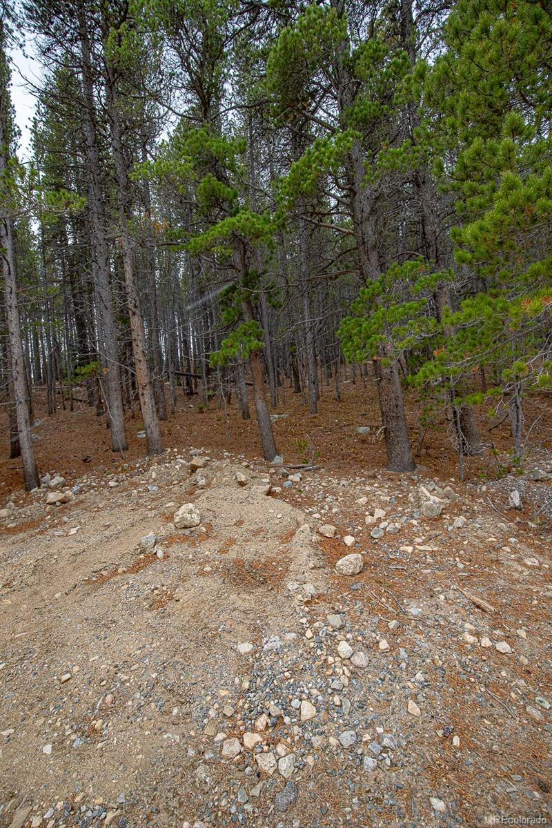 Lot 935 Silver Creek Road